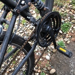 フェラーリ 確認写真です