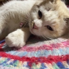 すらっとした脚長の女の子です。