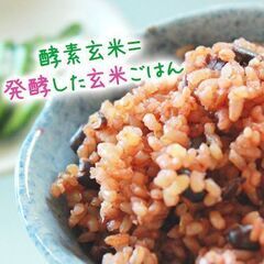 酵素玄米の炊き方_FTW式〈zoom講習〉オンライン講座★の画像