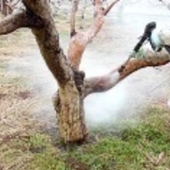 高圧洗浄機を借りたいです