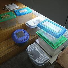 虫かご　色々　もらって下さい