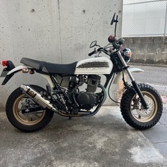 APE100 Type-D HC13
