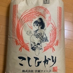 玄米6000円