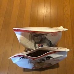 ドッグフードを譲ります。（サイエンスダイエット）の画像
