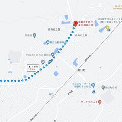 朝ランしましょう