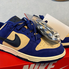Nike dunk low wmns blue suedeの画像