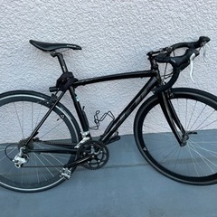 フジ　fuji custom