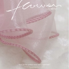 ヘアクリップの画像