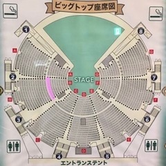 シルクドゥソレイユ　アレグリア　5月19日  チケット　東京公演の画像
