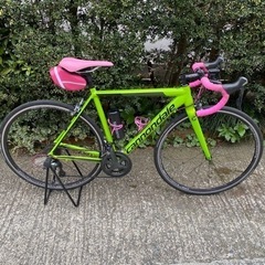 CAAD OPTIMO 2019 ZONDA CANNONDALE