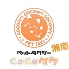 春の鎌倉巡り時間パック始めました。の画像