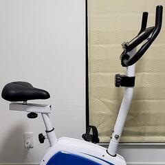 【3月引取り限定価格】DAIKOU フィットネスバイク ＤＫ-８３１０