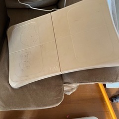 Wii fit