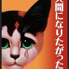 劇団四季 人間になりたがった猫 2枚