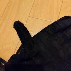 サマーグローブの画像