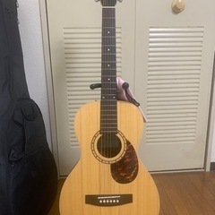 サイモン＆パトリックのカナディアンギター