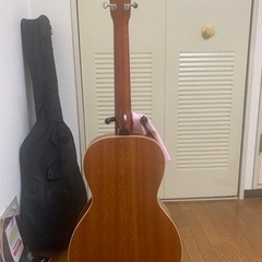 サイモン＆パトリックのカナディアンギターの画像