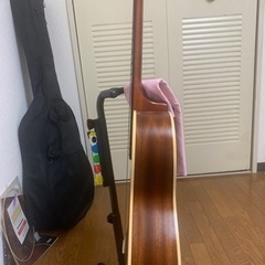 サイモン＆パトリックのカナディアンギターの画像