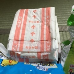 開封品紙パンツ用パッドの画像