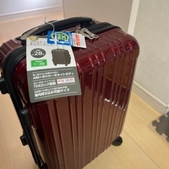 小さなキャリーケース未使用