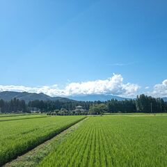 佐野市内で、高齢の方、子どもたちが集まれる場！