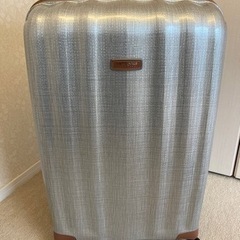 大幅値下げ/入手困難品/新品未使用、高級スーツケース