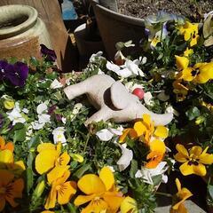 終了　ぞうさん  置物🎵の画像