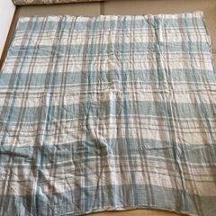 イオンのリネンコットンラグ　チェック柄の画像