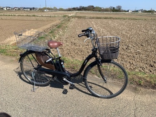 電動アシスト自転車 pas