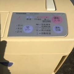 もらってくださいの画像