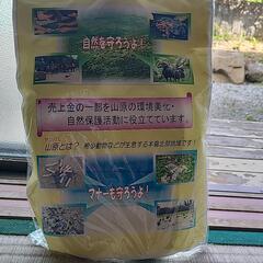 オリジナルサンダル履いてみませんか？の画像