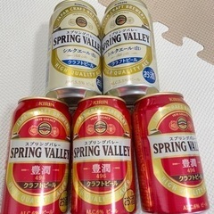 【お話中】ビール スプリングバレー 5本