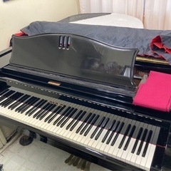 小さなお子様から！ピアノレッスン🎹の画像