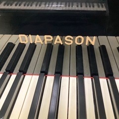 小さなお子様から！ピアノレッスン🎹の画像