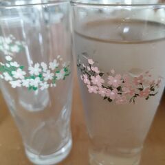桜 ガラス コップ②の画像