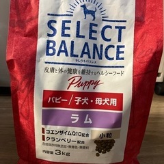 【取引中】犬の餌　セレクトバランス