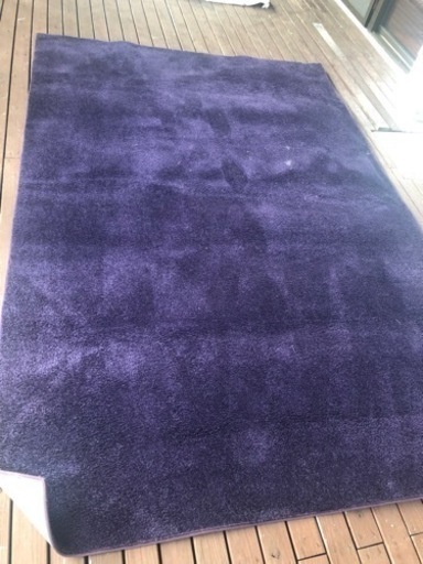 カーペット　大きめ