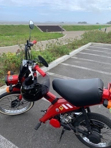 宮城県　ヤマハ　タウニー