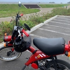 宮城県　ヤマハ　タウニー