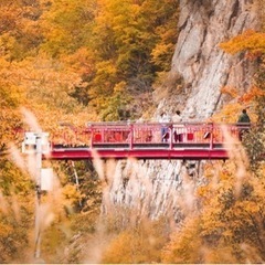 一緒に写真を撮りませんか(^.^)