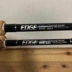 PALMS EDGE EVC663 EVS601  2本セット