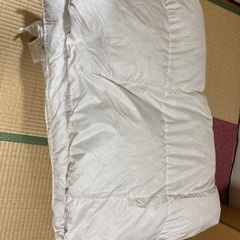 ニトリ　羽毛掛け布団