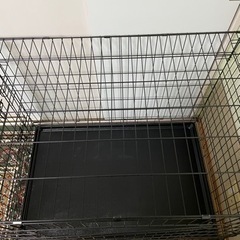 中型犬、大型犬用ケージ貰ってください