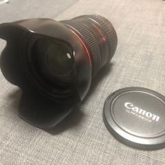 canon 24-105 F4L