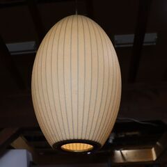 MODERNICA(モダニカ)のBubble Lamp Pendant Cigar(バブルランプ