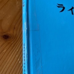 ライオンの鬣　の画像