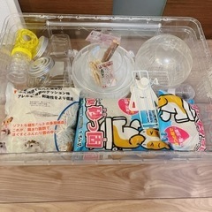 ルーミィ　60 飼育セット