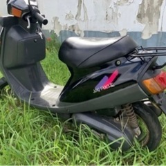 原付バイク　ヤマハ　ジョクポシェ3KJ 廃車登録済みの画像
