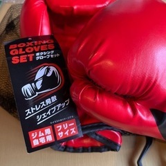 ボクシンググローブ　セットの画像