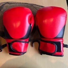ボクシンググローブ　セットの画像